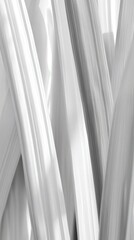 Obraz premium Stunning Abstract Monochrome Design Elements: Elegant Lines and Shapes