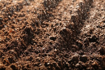 Texture of fresh soil as background, closeup