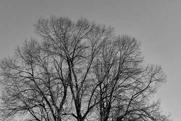 Winter photography around the village of Lena, Norway, February 2025.