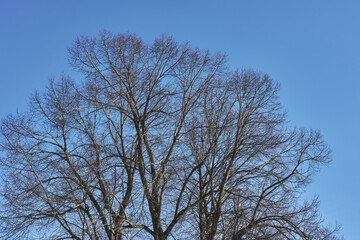 Winter photography around the village of Lena, Norway, February 2025.