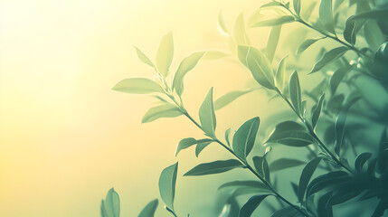 Serene Foliage: Sunlit Leaves for a Tranquil Natural Green Background