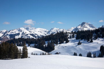 Winter hiking in Sparenmoos,Switzerland