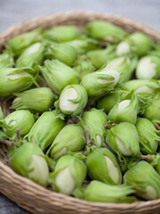 Hazelnut harvest - fresh, green hazelnuts on a gray wooden board background.