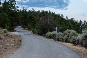 Scenic road and forest park during summer on overcast day at Giant's Head Mountain Park, British Columbia, Canada