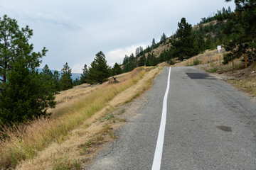 Scenic road and forest park during summer on overcast day at Giant's Head Mountain Park, British Columbia, Canada