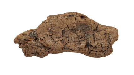 A small piece of cork oak bark isolated. 