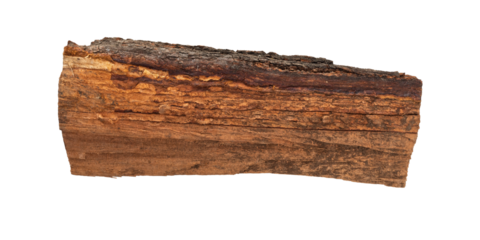 A piece of larch wood isolated.