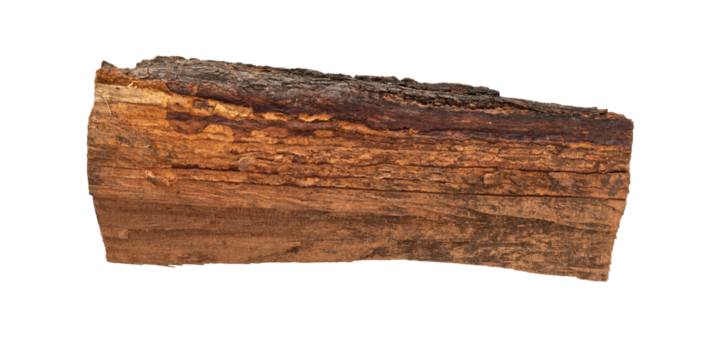 A piece of larch wood isolated.