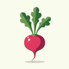 Illustration of a vibrant pink radish with fresh green leaves perfect for a healthy food or garden theme Minimalist vector style
