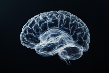 A detailed rendered illustration depicting a human brain structure