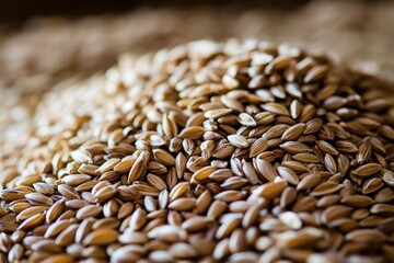 Obraz premium Close-up of organic barley grains piled together
