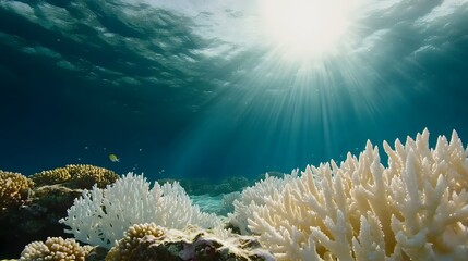 A breathtaking display of marine biodiversity featuring vibrant coral reefs, exotic tropical fish, and mesmerizing underwater scenery, ideal for travel campaigns, eco-education, conservation projects,