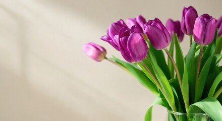 Obraz premium Vase with purple tulip flowers on light background