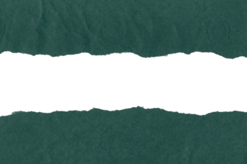 Torn blank green pages with uneven texture edges. Ripped paper sheets isolated on transparent background. 