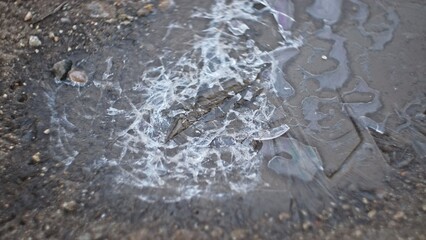 Cracked Ice on Frozen Muddy Water Puddle