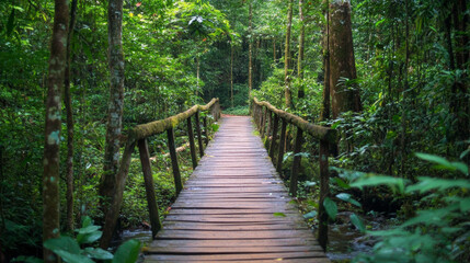 Wooden bridge in lush green forest nature walk outdoor adventure tranquil environment serene viewpoint exploring nature