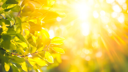 Abstract Summer Nature Background with Sunlight Effect and Warm Sunny Vibes