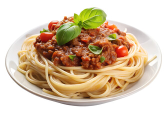 spaghetti with tomato sauce and basil