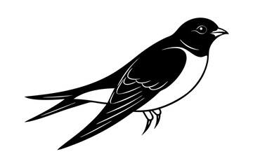 Fototapeta premium Beautiful Barn Swallow Vector Illustration for Nature Lovers