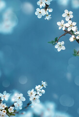 Blossom tree over nature background. Spring flowers. Spring background