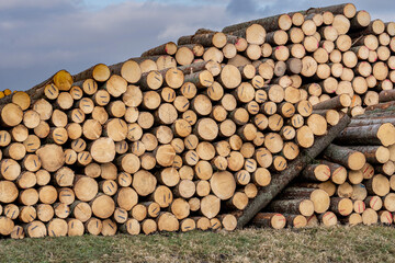 Large Stack of Cut Logs in Timber Yard Under Cloudy Sky. Deforestation and Logging Industry: Massive Wood Storage..