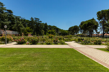 Fototapeta premium Rose Garden in Madrid. Botanical garden with different species of rare and common roses, inebriating scents. Rose arches, ponds and rose hedges accompany us on a floral journey. Love and beauty.