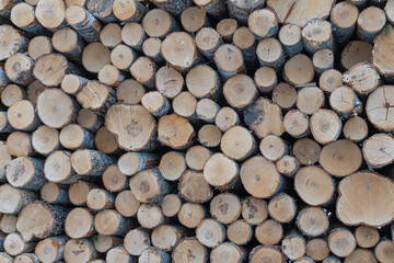 Close-Up of Stacked Firewood Logs with Natural Wood Texture