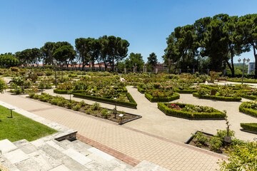 Rose Garden in Madrid. Botanical garden with different species of rare and common roses,...