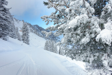 Obraz premium Winterlandschaft im Skigebiet Zillertal in Tirol