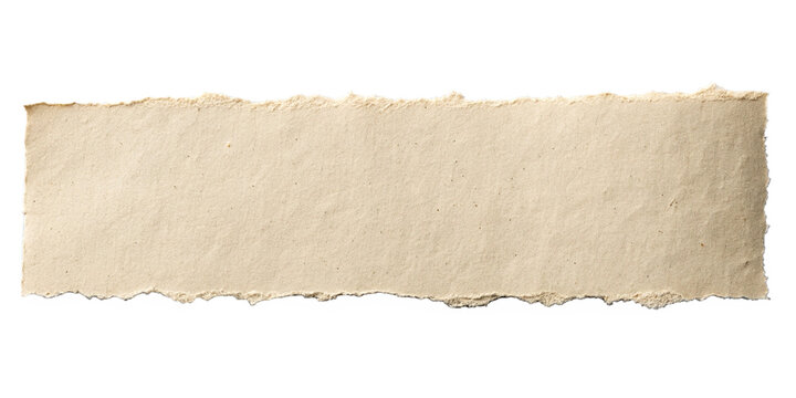 torn paper isolated on background and clear transparent.