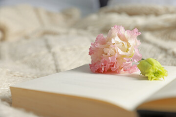 Open book with beautiful flowers on blanket, closeup