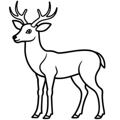 deer vector illustration