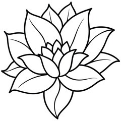 vector illustration of a flower
