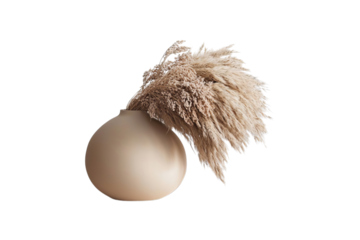 Minimalist beige vase with dried pampas grass arrangement on white background, showcasing modern elegance in home decor