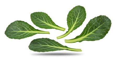 Obraz premium Bok Choy Leaves Floating Isolated Fresh Vegetables Food Studio Shot