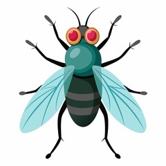  illustration of a bug on white background.