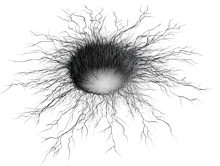 Abstract black and white illustration of an intricate, circular structure with radiating tendrils resembling neural networks or root systems.