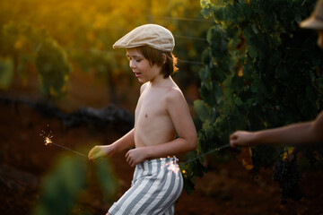 Child with sparkler in sunlit vineyard celebrates carefree joy