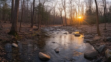 Obraz premium Sunset reflections over stream forest landscape nature photography tranquil environment serene view