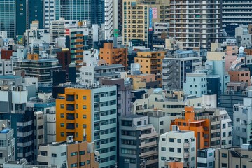 Obraz premium Tokyo Skyline: Dense Urban Fabric, A Birds Eye View, Explore the sense of scale and depth in Tokyo's skyline, capturing the layers of buildings stretching into the distance