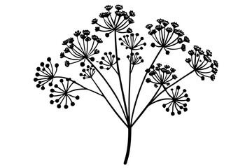Elegant Gypsophila Flower Vector Illustration 