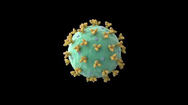 Biomedical animation of the Lassa virus, floating on black background.