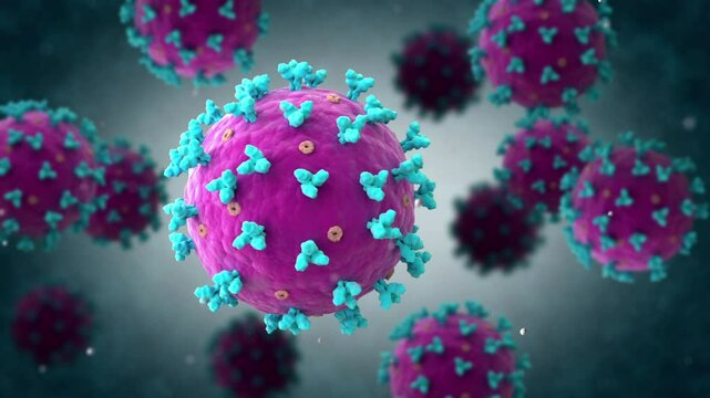 Biomedical animation of the Lassa virus.