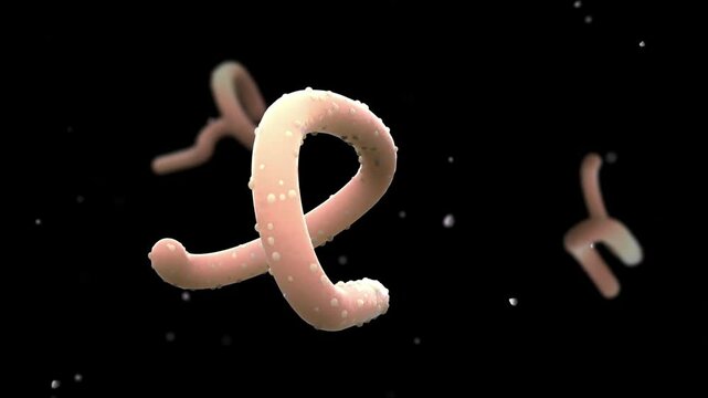 Biomedical animation of the Marburg virus, black background.