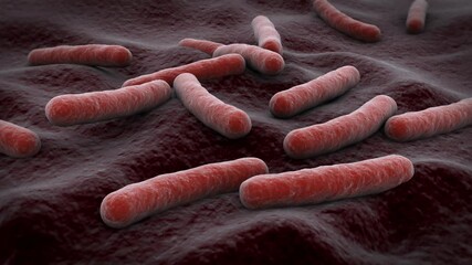Biomedical animation of tuberculosis bacteria inside the lungs.