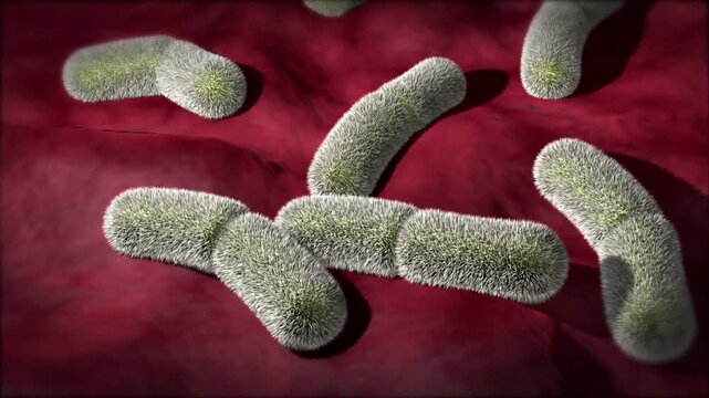 Biomedical animation of Yersinia pestis bacteria.