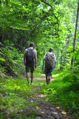 Two guys with backpacks in a green forest are walking and talking