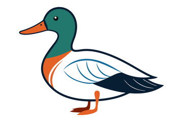 Obraz premium Northern Shoveler Vector Illustration. Nature's Beautiful Duck Art