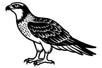 Obraz premium Minimalist Osprey Vector Art Design for Your Projects