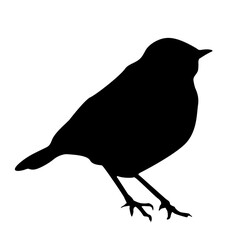 Bird silhouette
